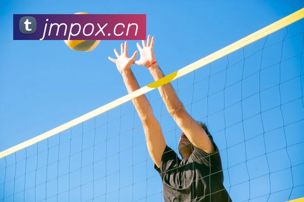 华体在线登录入口平台生态图